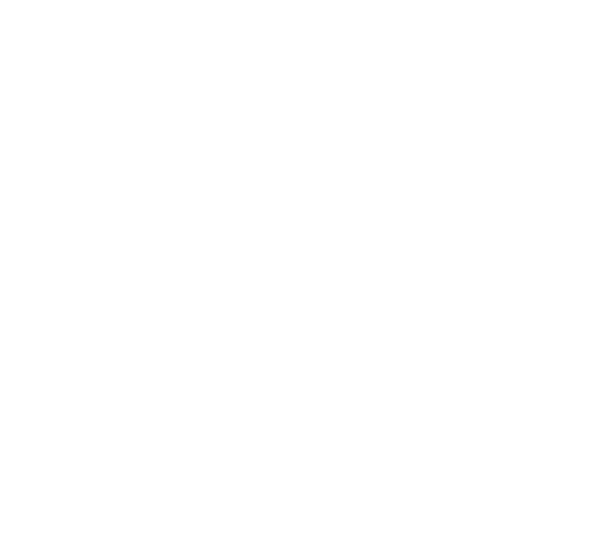 SDVOSB Certified